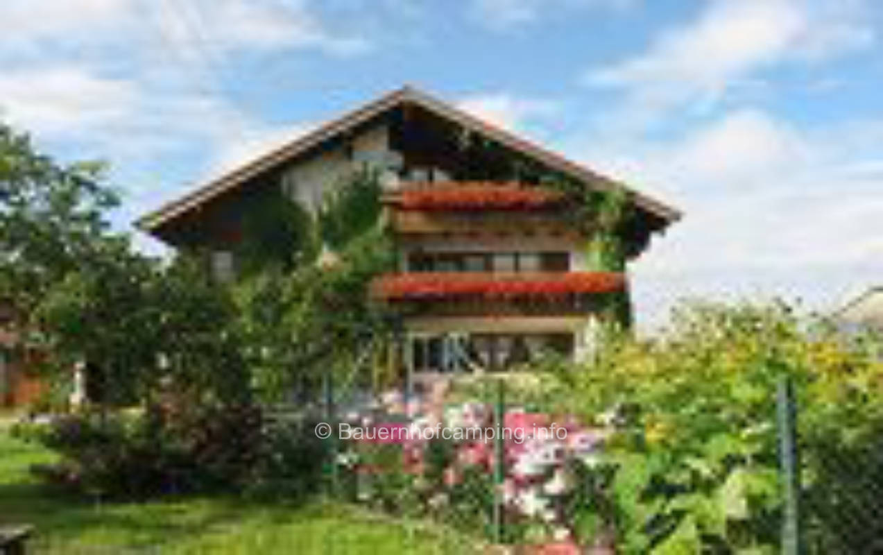 Vacation farm summer