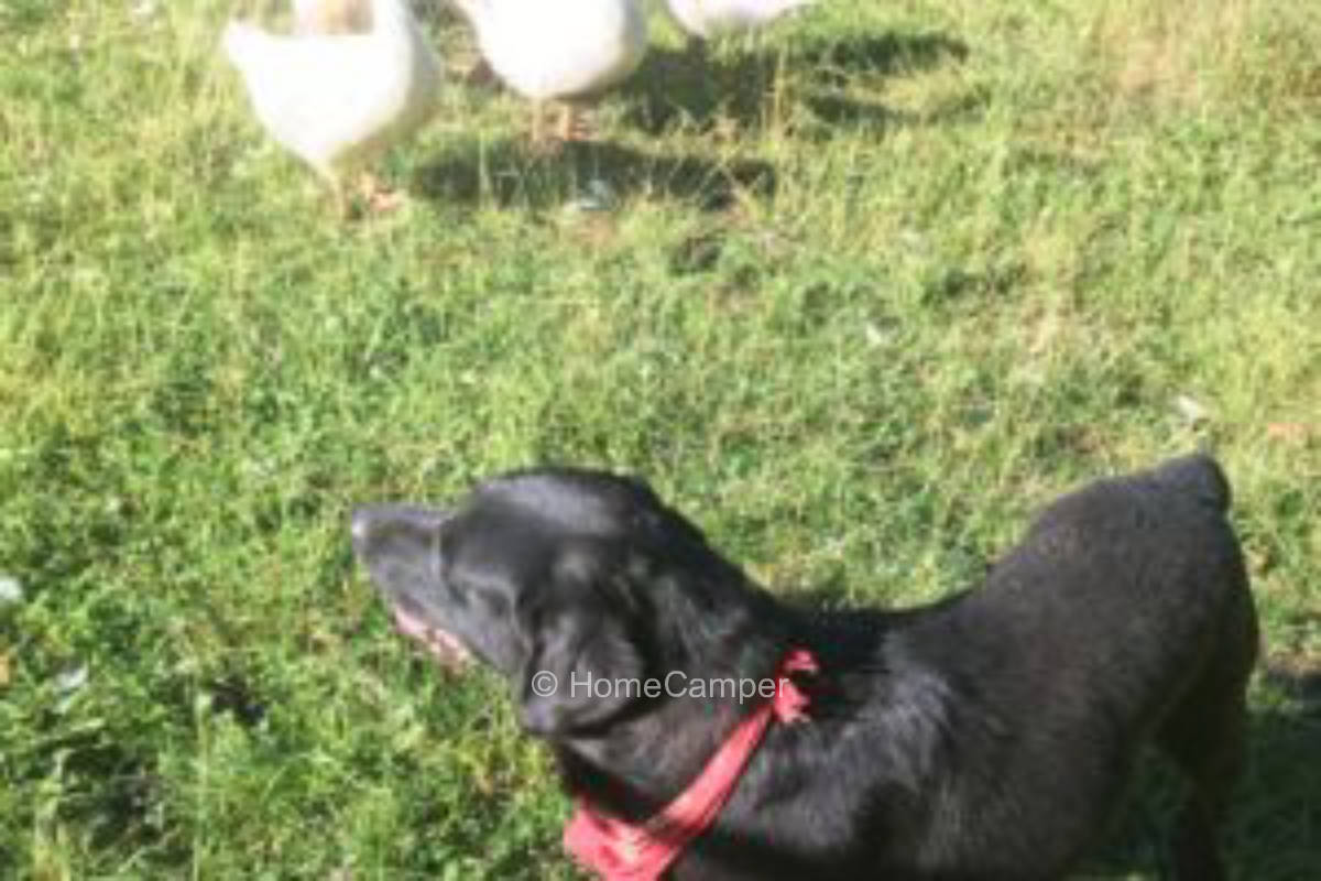 Private place in Leutershausen