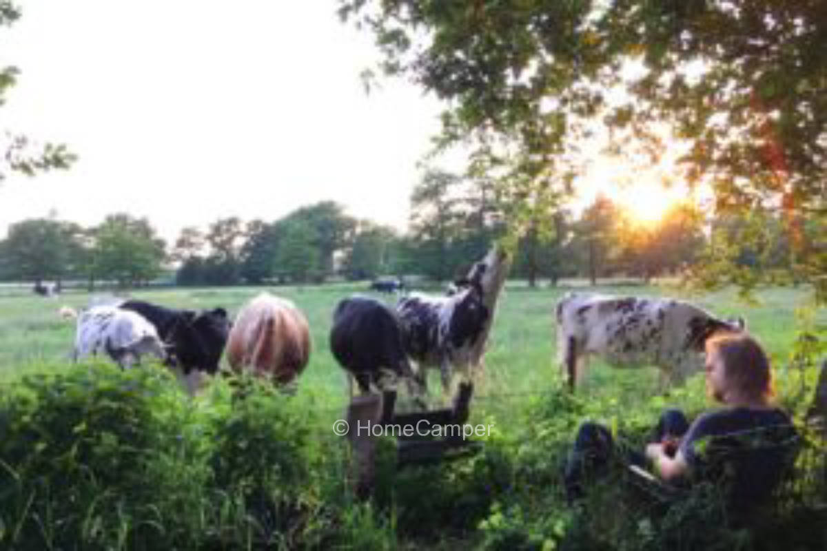 Privater Platz in Delmenhorst/Hasbergen