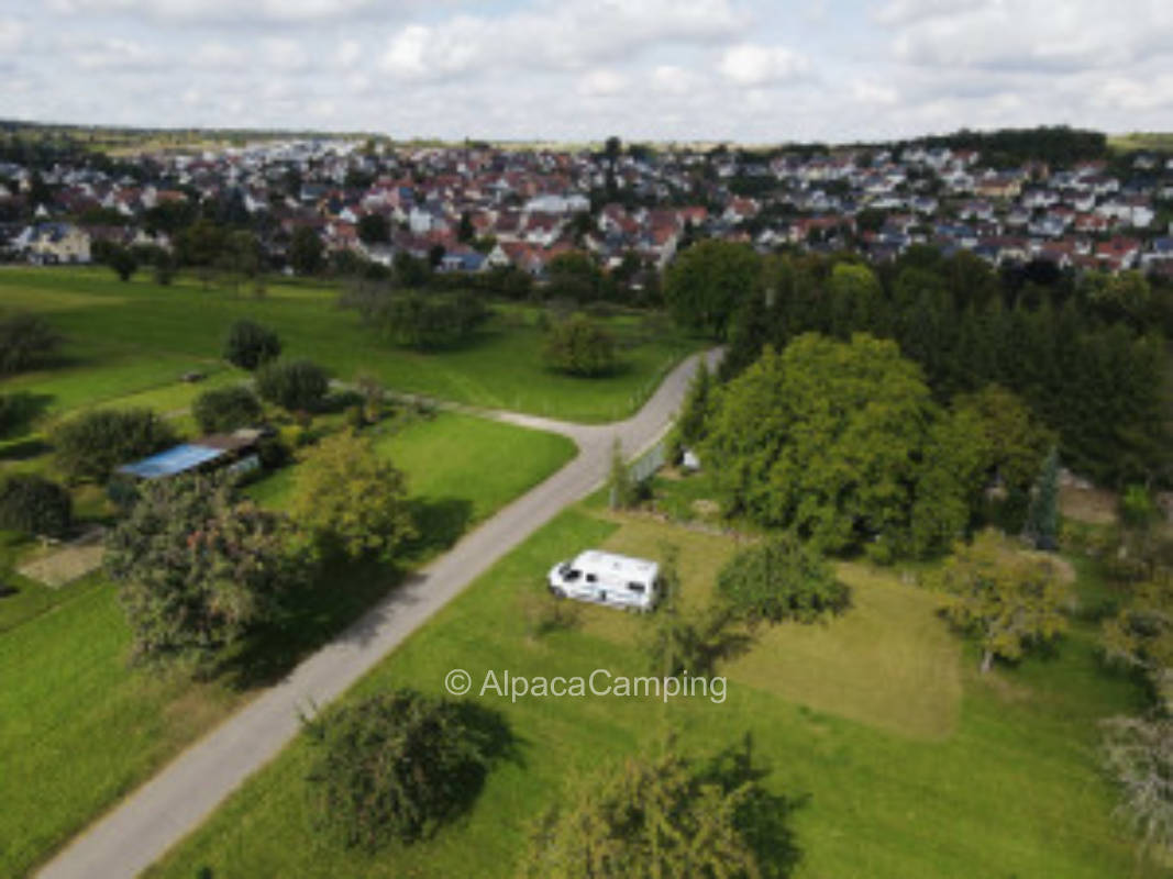 Streuobstwiese im Heckengäu #2