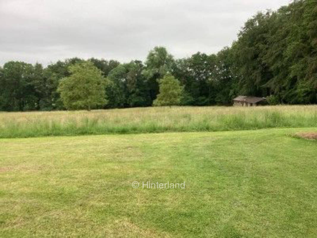 Osnabrücker Land: Wiesen-Stellplatz am Waldrand
