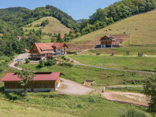 Springhansenhof im Schwarzwald