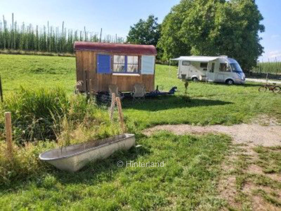 Wiesen Platz am Waldrand zwischen Hopfengärten 