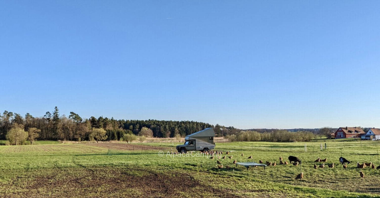 AlpacaCamping 5443
