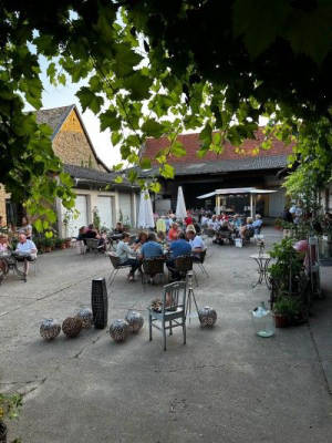 Stellplatzwiese auf dem Weingut