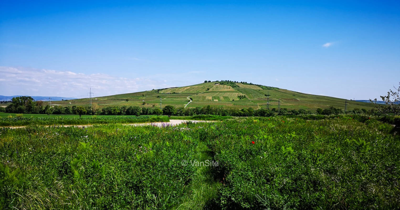 Ruhige Wiese mit Blick auf Felder und Weinberge