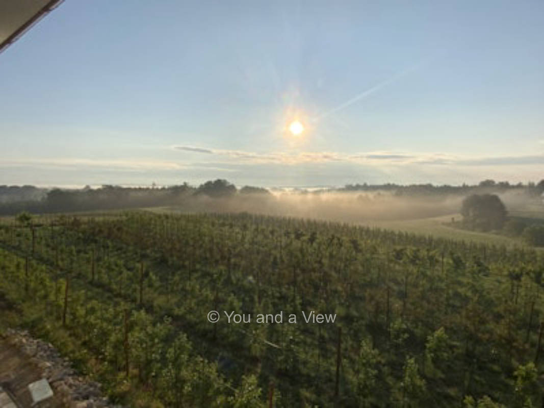 Neben dem Obstgarten