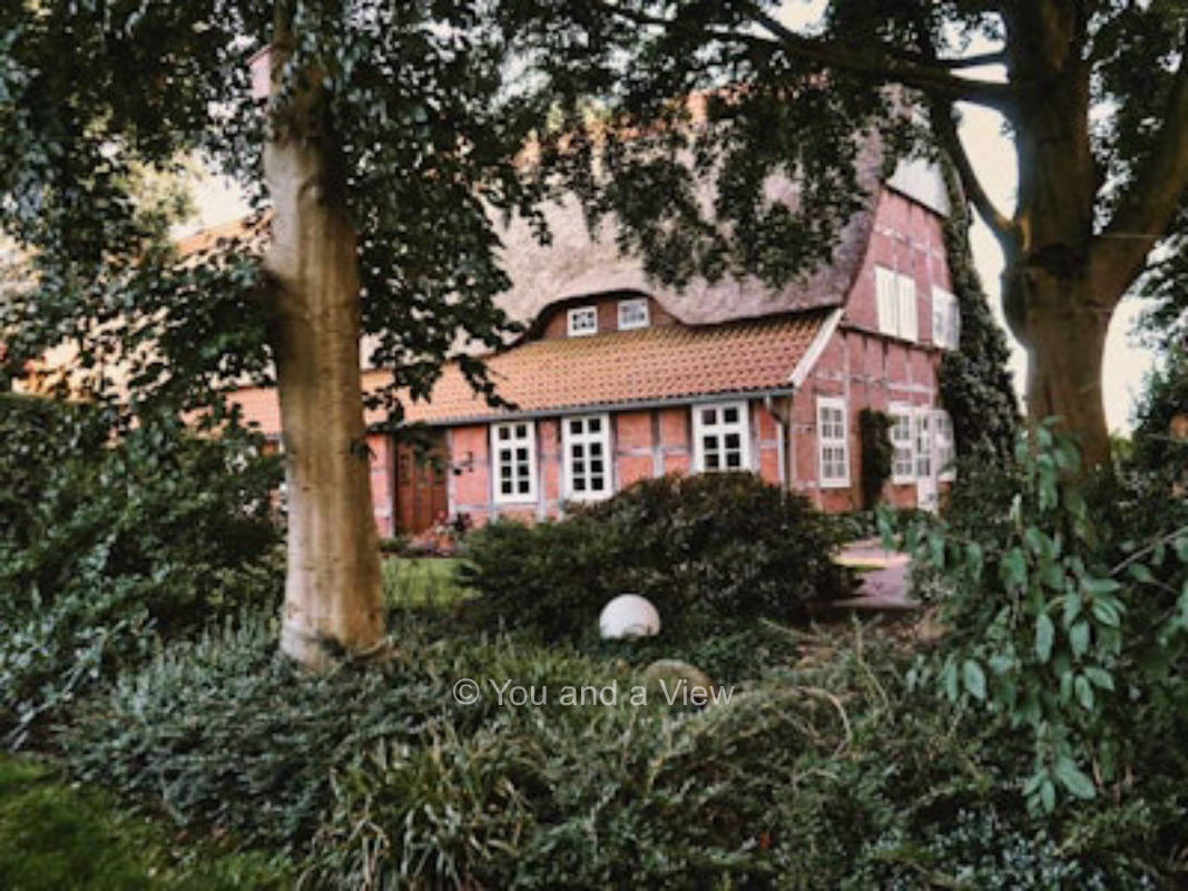 Abendroth - Blühwiese