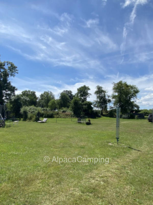 Stellplatz auf einer Wiese #1