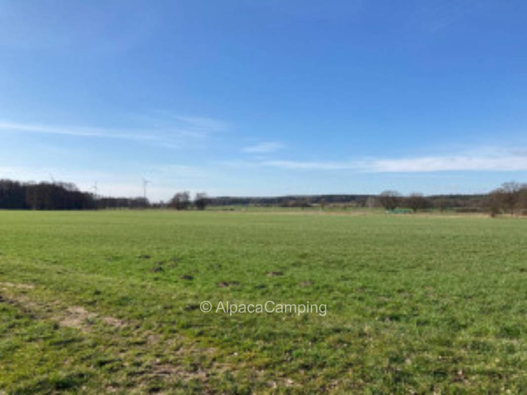 Weite, Wiesen, Sonne, Wind #2