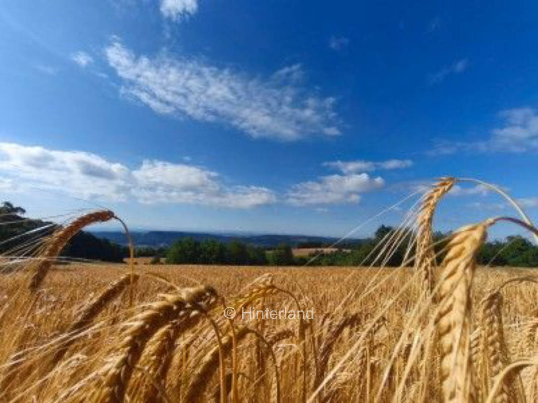Zeltplätze auf dem Bauernhof mit Panoramablick