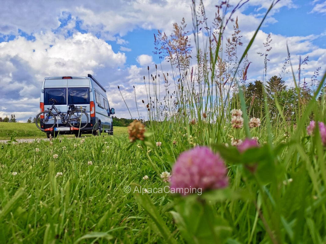 View swiss mountains #1