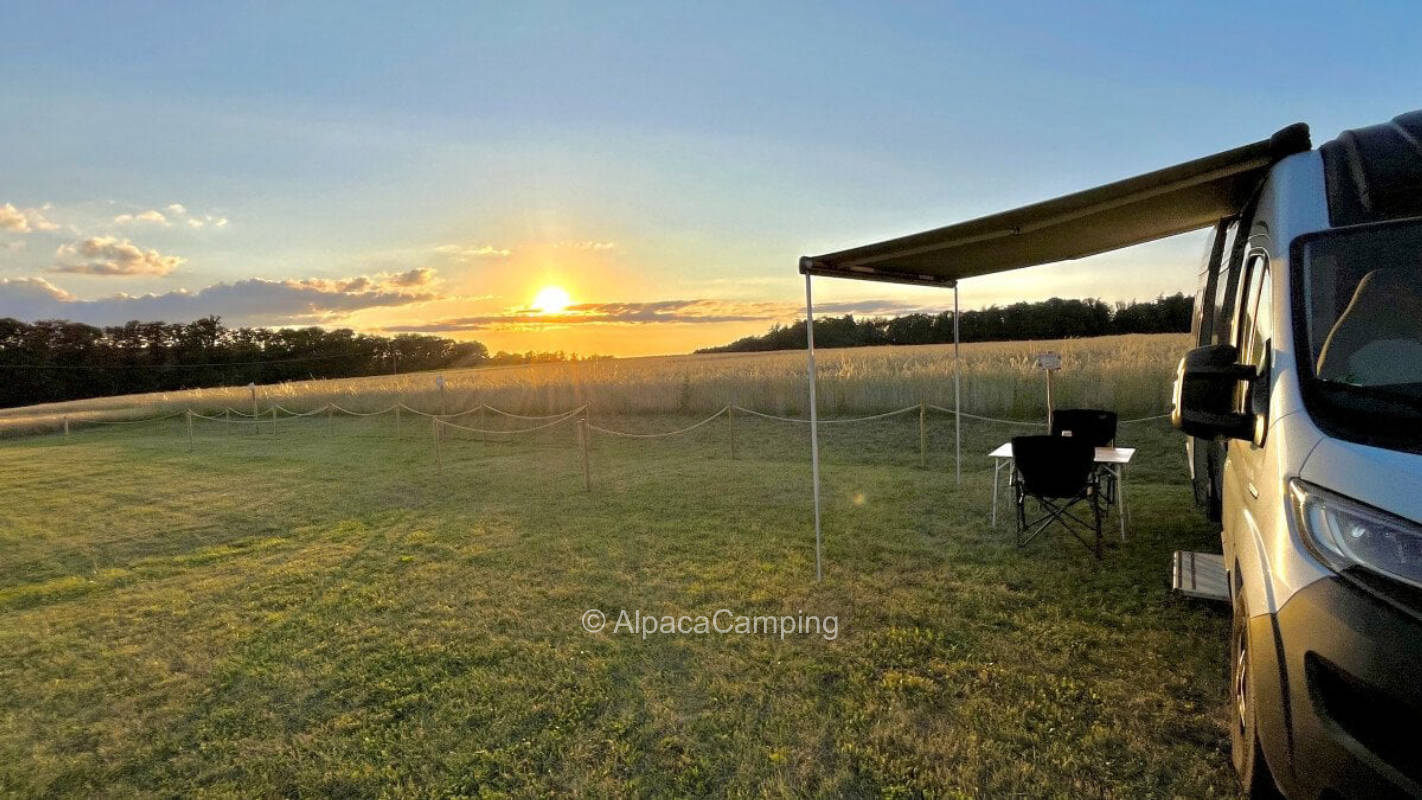 AlpacaCamping 21234