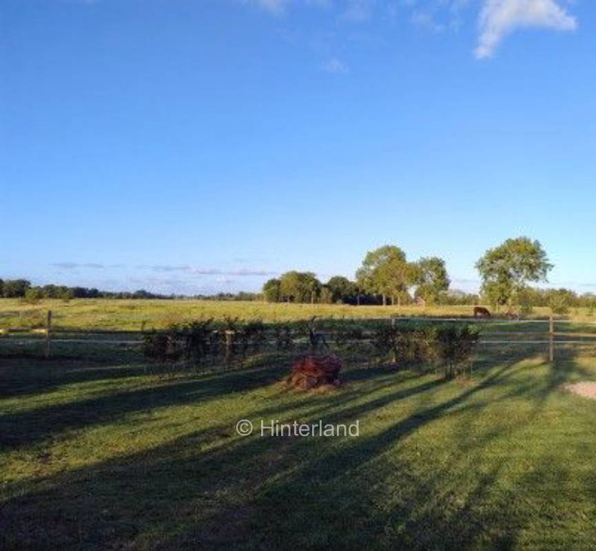 Ruhe in der Natur am Jadebusen