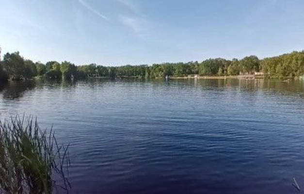 Naturcamping am idyllischen Waldsee 