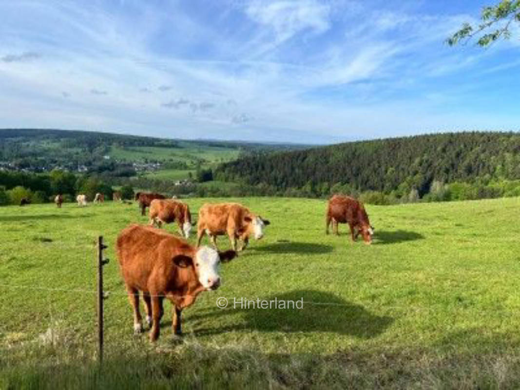 Natur pur am höchsten Berge des Elstergebirges