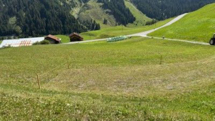 Panorama-Camp nahe der Greinaebene