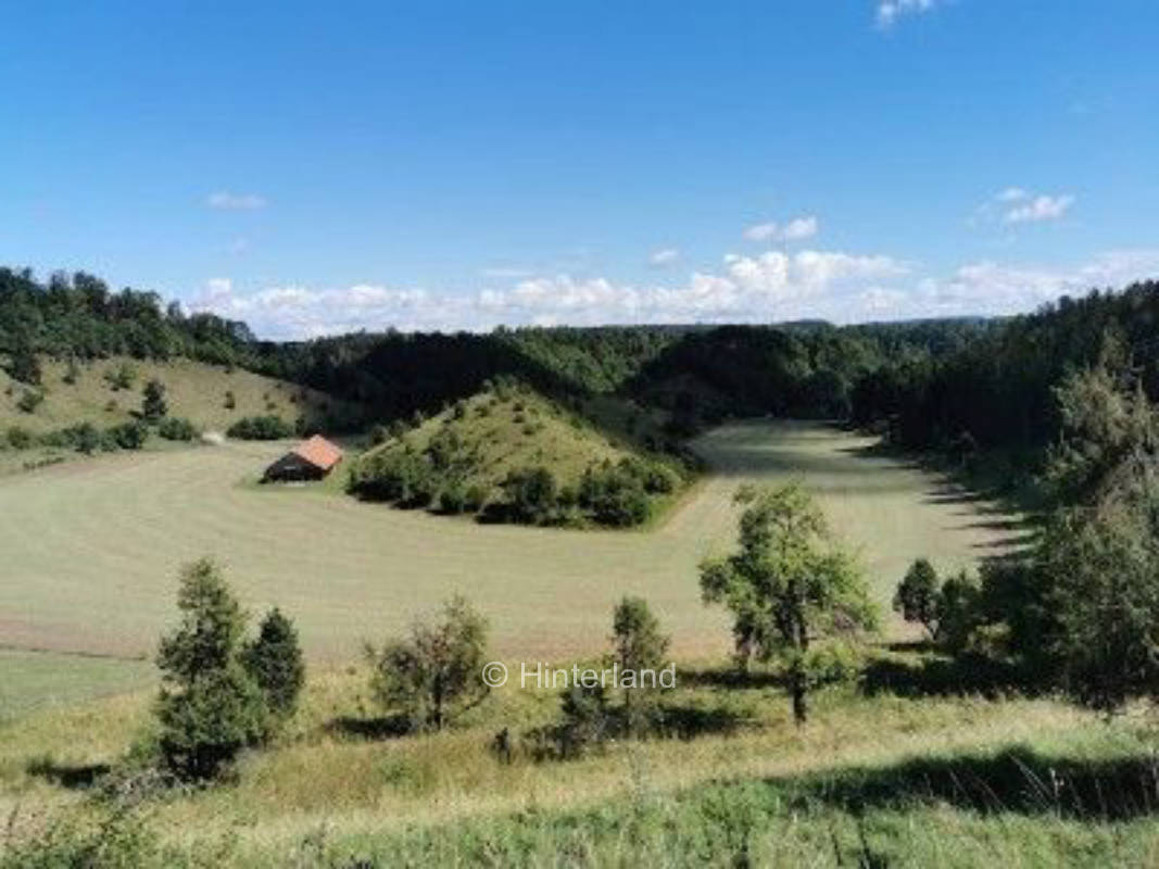 Idylle pur auf dem Hofgut - Wiesenstellplatz 