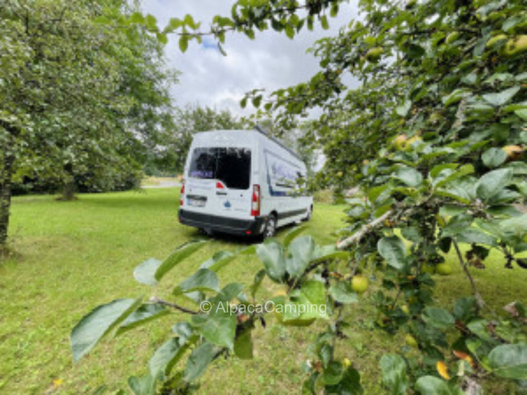 Streuobstgarten in der Fränkischen Schweiz #2