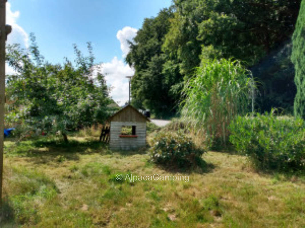 Forest and fjord - Haithabu and Schlei for nature lovers #2
