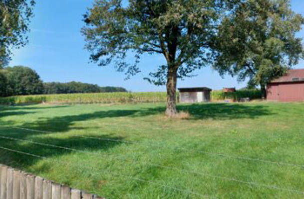 Camping auf der Wiese zwischen Feldern