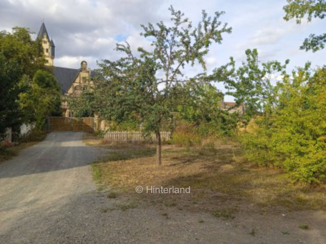Alone location in the greenery on the outskirts of Quedlinburg