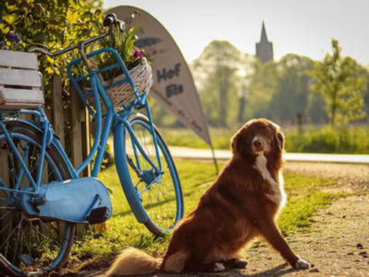 Ferienhof Ostarle