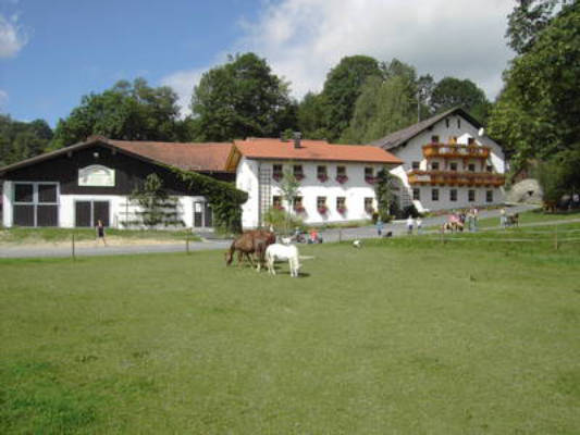 Kinderparadies Höcker - Organic Farm
