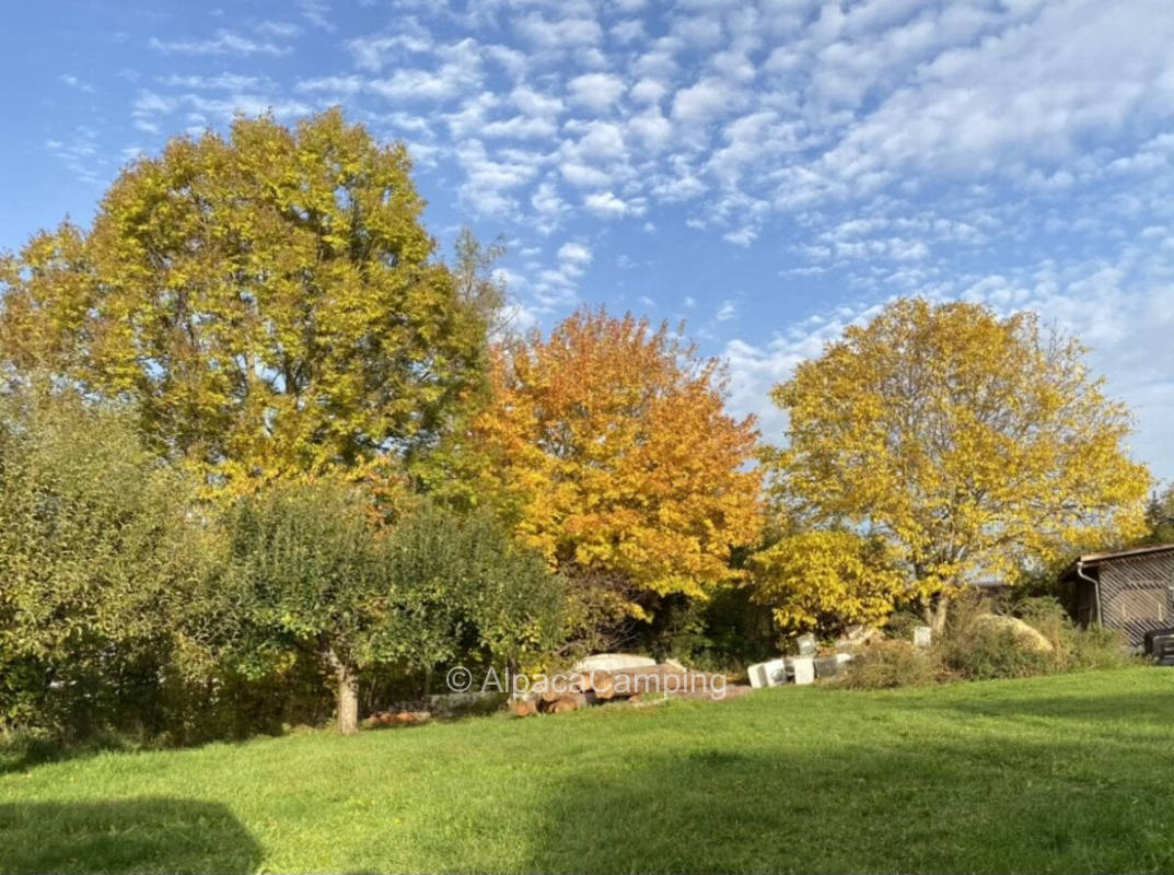 Nature happiness with good connection in the heart of Middle Franconia #1