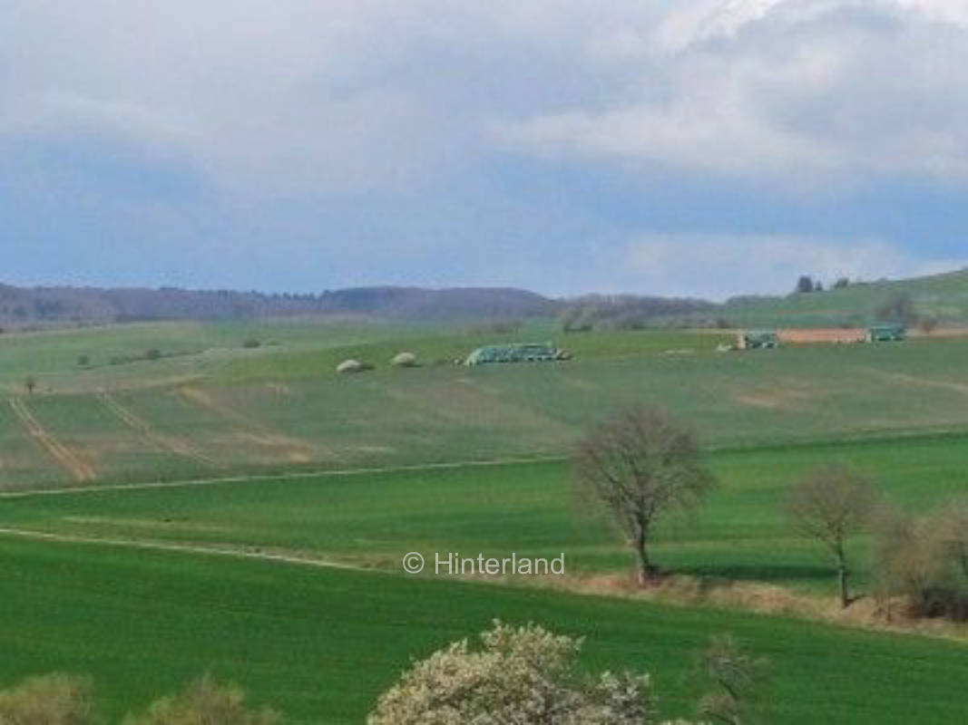 Im Garten am Fuß des Donnersbergs