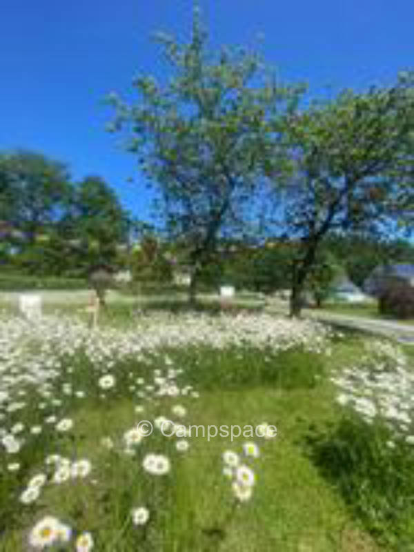 Directly in front of the Fichtelgebirge very quiet location & 15 km from Bayreuth.