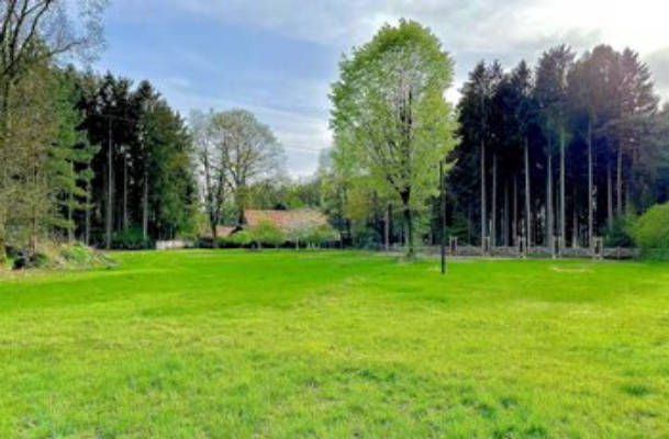 Pitch in the countryside between forest and fruit trees
