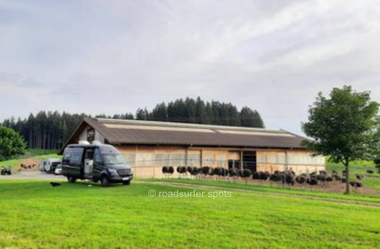 Camping direkt am Straußengehege