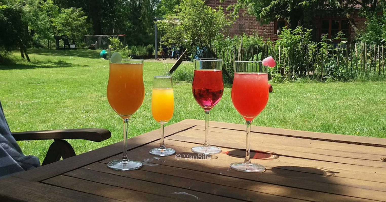 Willkommen im Moor: Campen auf einem Waldgrundstück