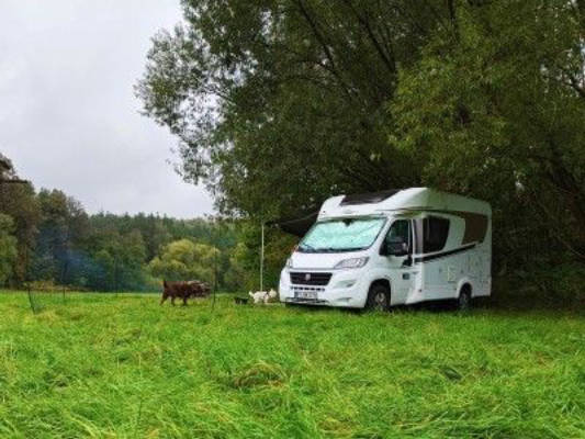 Camping Geheimtipp - kleines Tal direkt am Bach