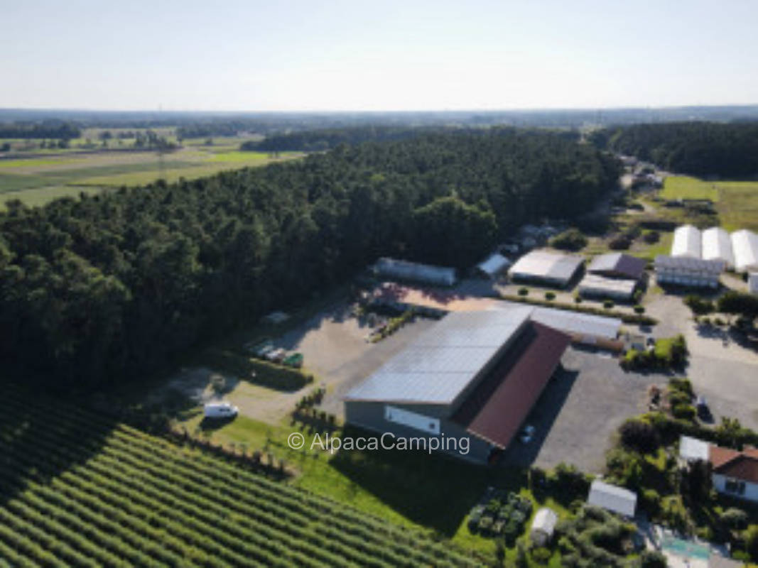 Stellplatz mit Blick auf's Feld #1