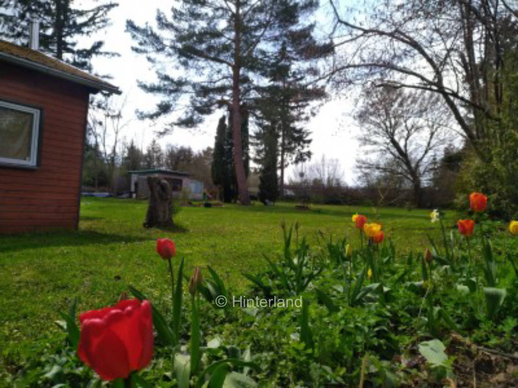 Square close to nature on the outskirts of Weimar