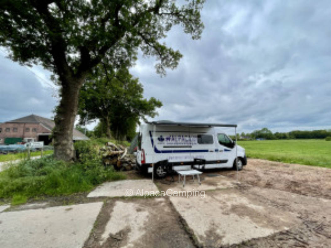 Camping an der Wiese #1