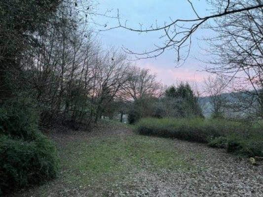 Natural campsite near Mosel: Meadow with cabin