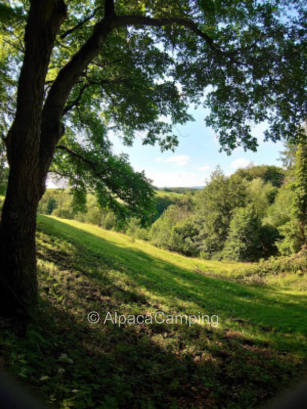 The idyllic end of the world #3, privater Stellplatz