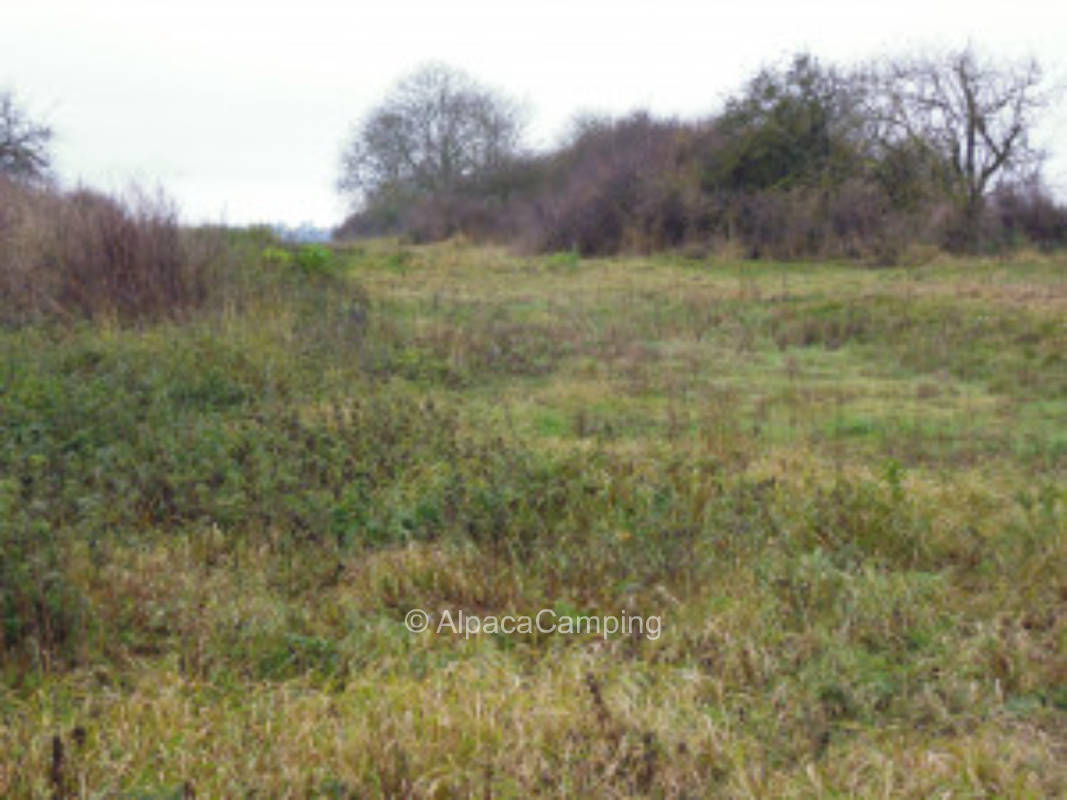 Am Teufelsberg mit Blick auf Goddelsheim #2