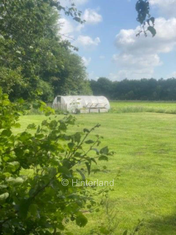 Camping by the forest in East Frisia
