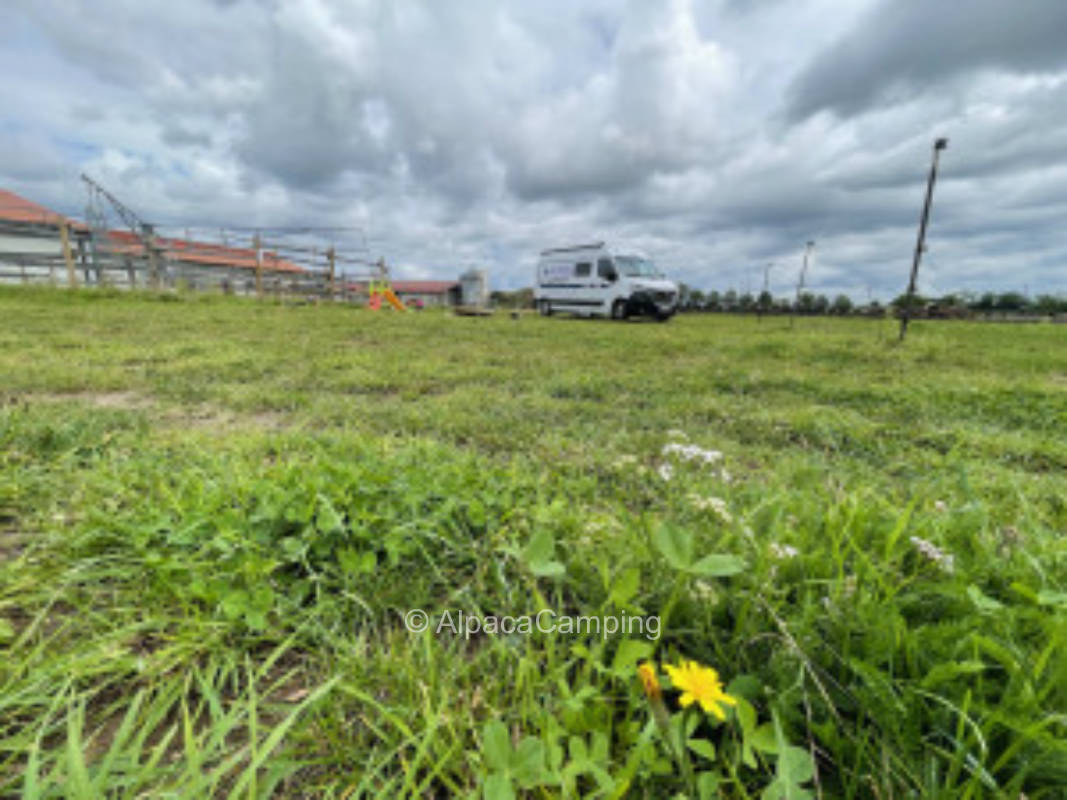 Bauernladen und Haflingerzucht #3