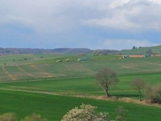 In the garden at the foot of the Donnersberg