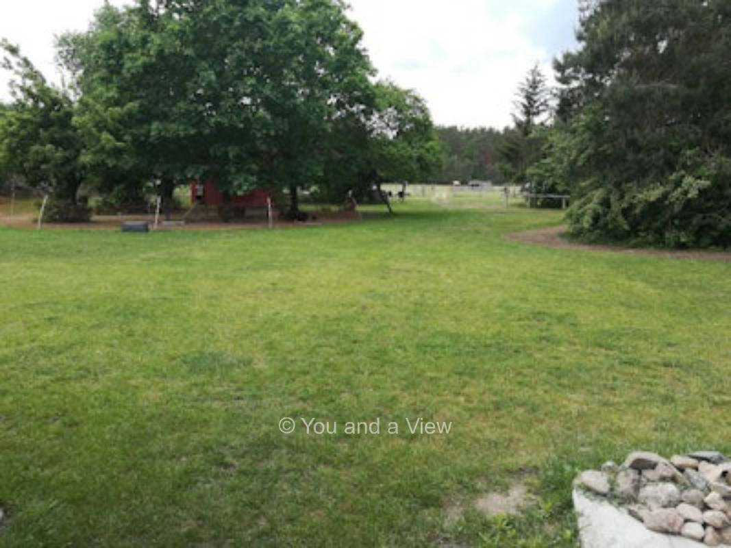 Stellplätze unter Bäumen in der Nähe von Tieren