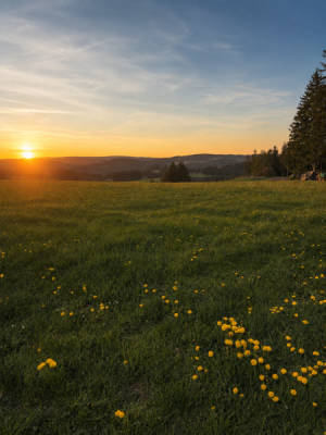 Dein Spot auf einer großen Wiesen (Campspace 30080)