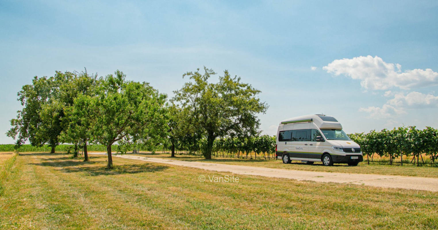 Weingut inmitten der südpfälzer Feldmark