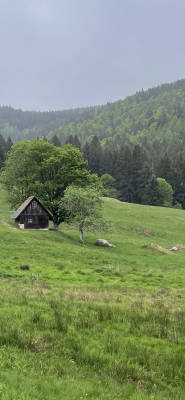 Dream meadow next to historic mill