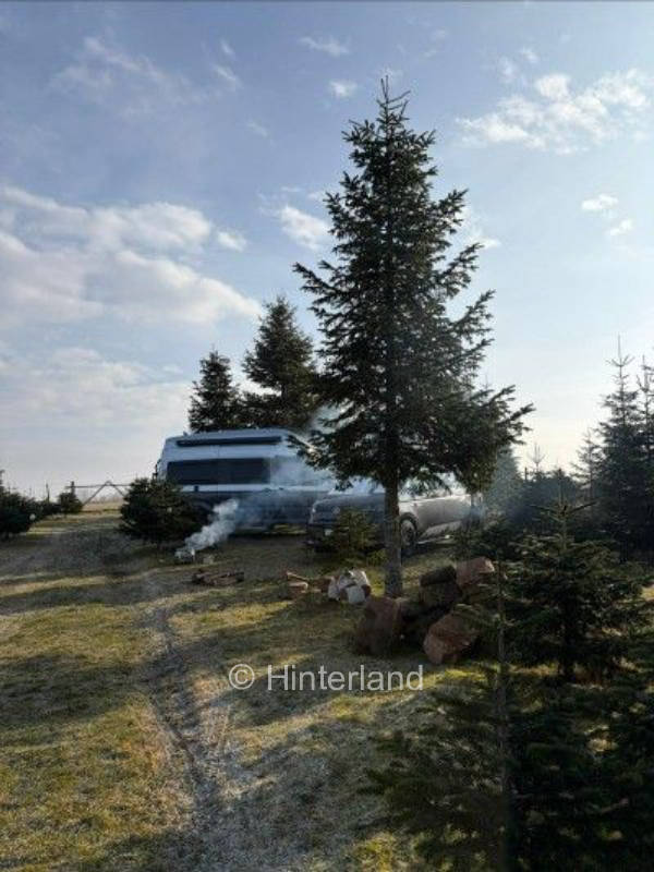 Zwischen Weihnachtsbaum und freier Natur