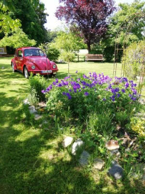 Vintage Cars, Nature & Camping: Welcome to Im Felde